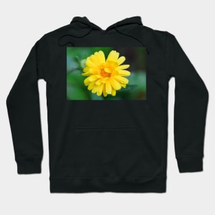 Yellow garden flower with dew drops facemask Hoodie